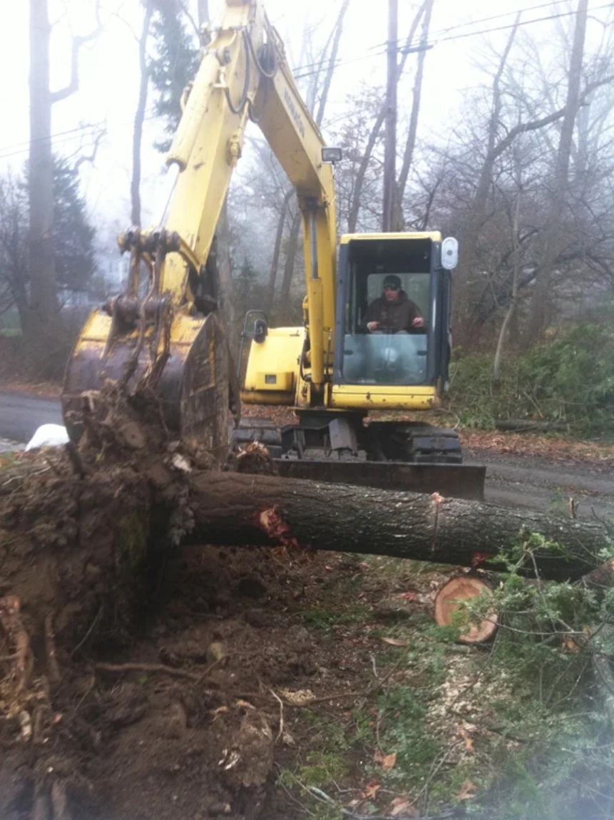 WD Construction Home